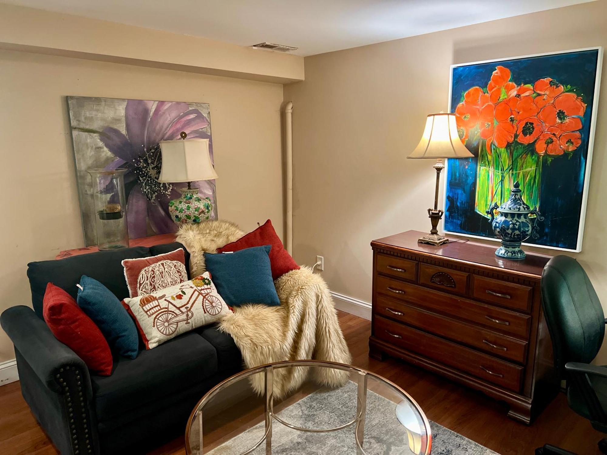 Charming 1-Bedroom Basement Close To Dc Pets Allowed Arlington Exterior photo