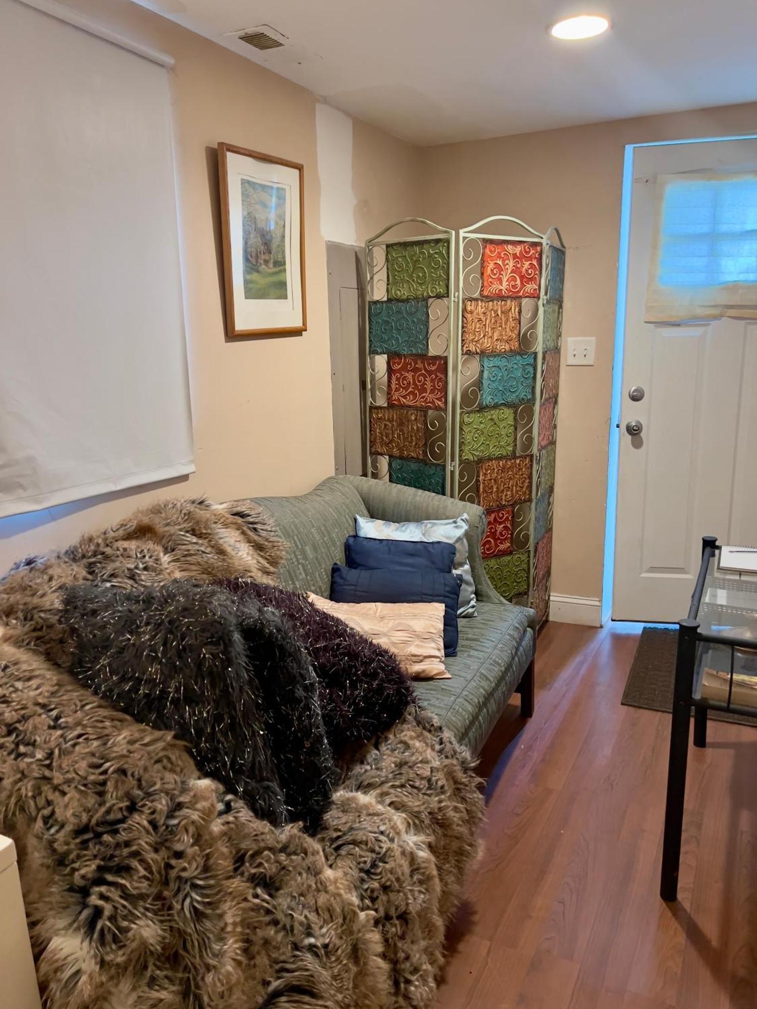 Charming 1-Bedroom Basement Close To Dc Pets Allowed Arlington Exterior photo